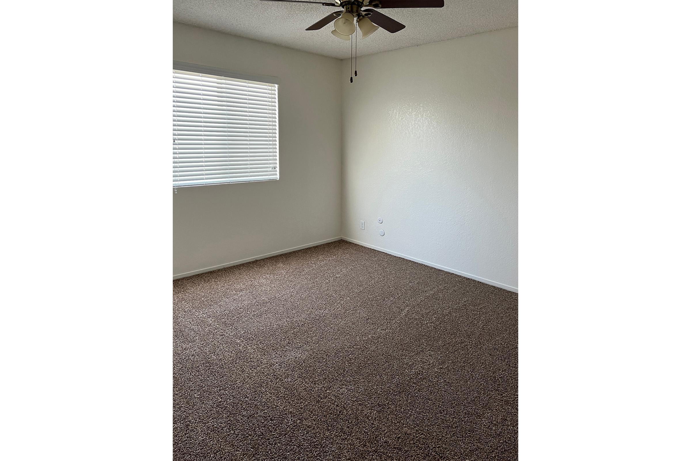 Vacant carpeted bedroom with a ceiling fan
