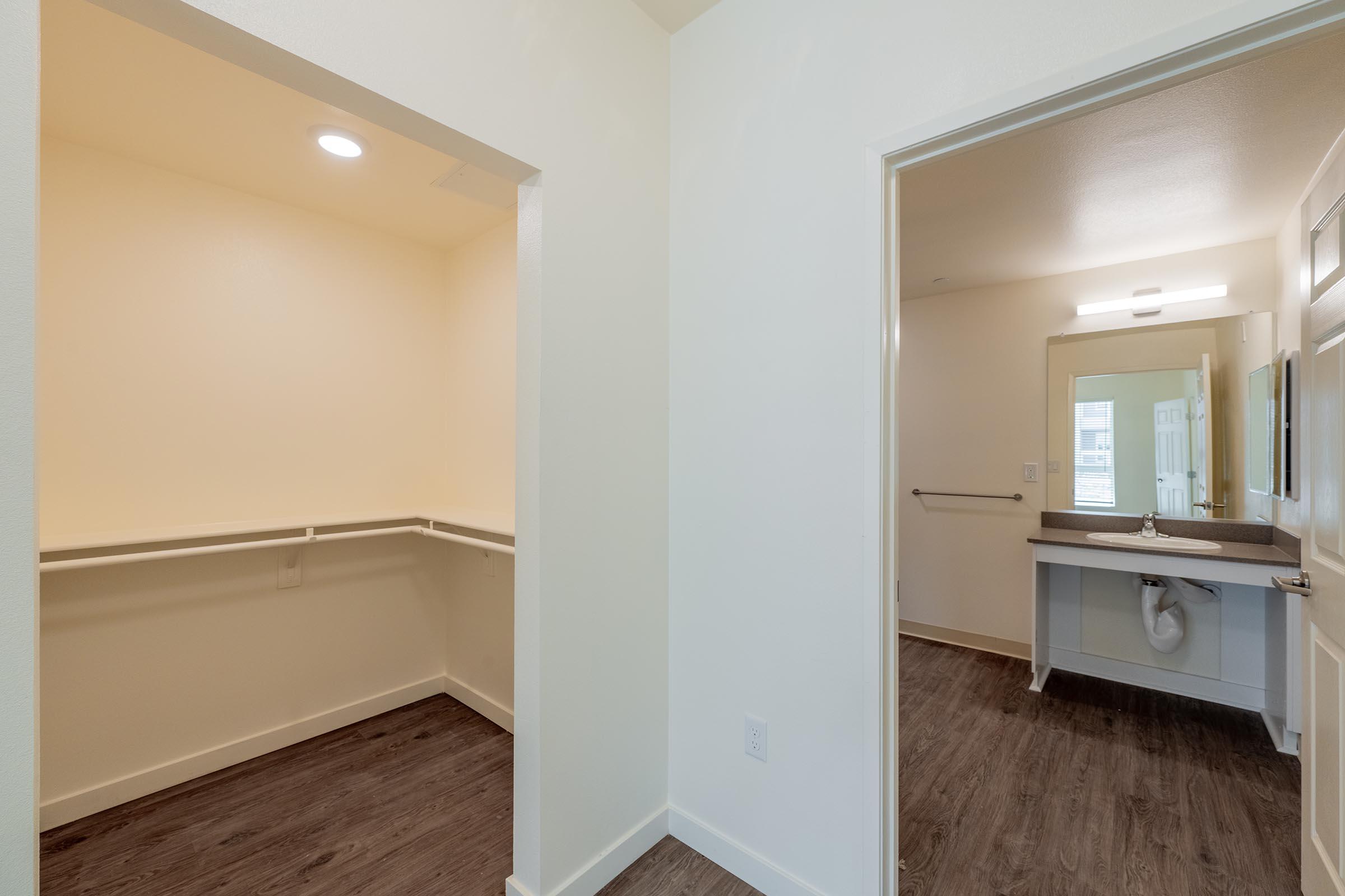 A spacious, well-lit room featuring a walk-in closet on the left and a bathroom area on the right with a countertop sink and a mirror. The walls are painted in a neutral color, and the floor has a wood-like finish.