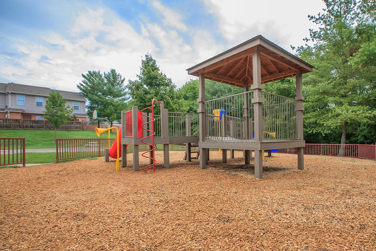 Playground at Hickory Pointe
