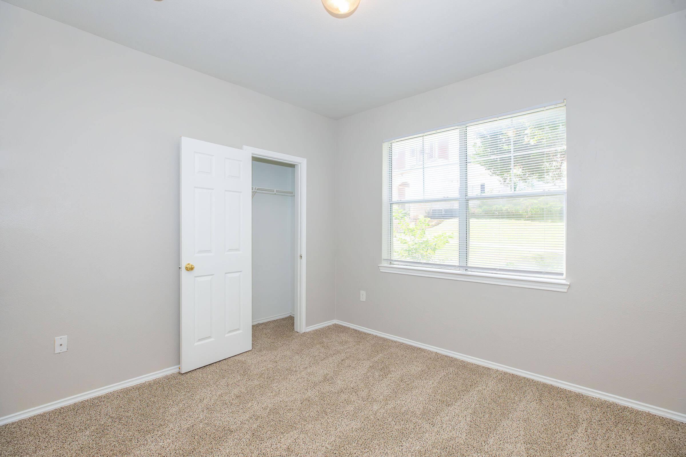 Empty room featuring light beige carpet, a large window letting in natural light, and a closet door partially open. The walls are painted a soft grey, and the room has simple lighting and no furniture. The outside greenery is visible through the window, enhancing the room's brightness.