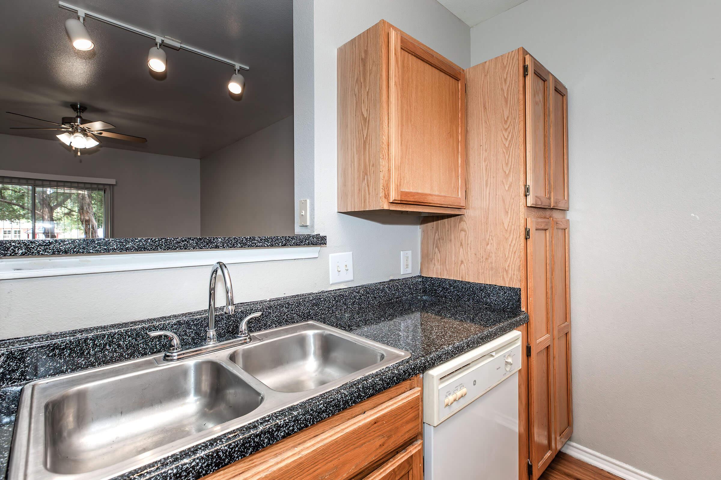A modern kitchen with wooden cabinets, a double sink, and a dishwasher. The countertop features dark granite, and there are track lights above. A view of a living area with a ceiling fan can be seen in the background through an open space. The walls are painted in a light gray color.