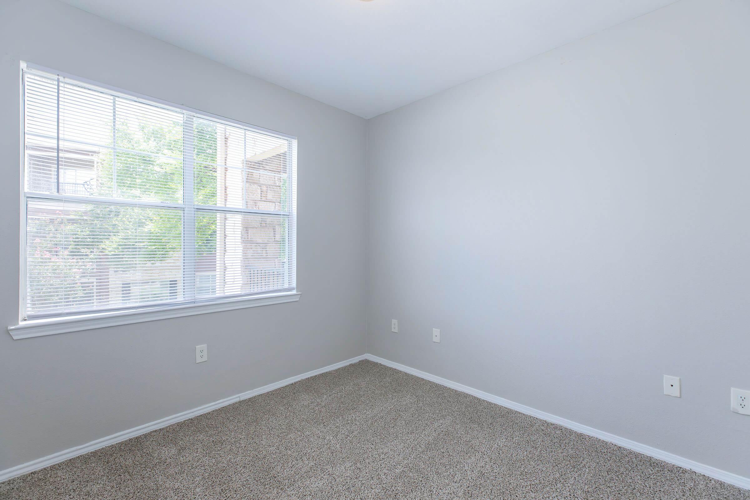 A light gray room with freshly painted walls and carpeted flooring. There is a large window with white blinds allowing natural light to enter, and the space is empty with no furniture. The room has a minimalist feel, suitable for various uses like an office or bedroom.