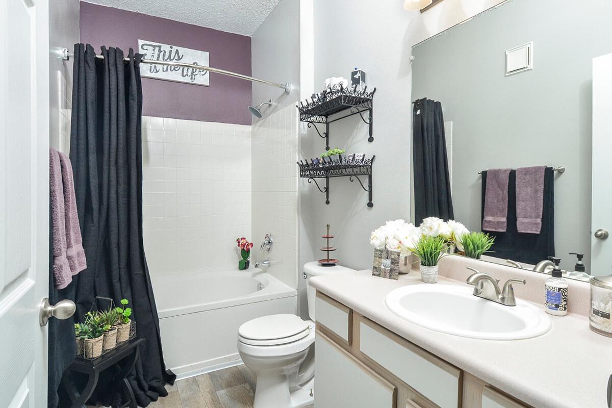 Carrington Park Apartments in Murfreesboro, TN - Interior 12.jpg