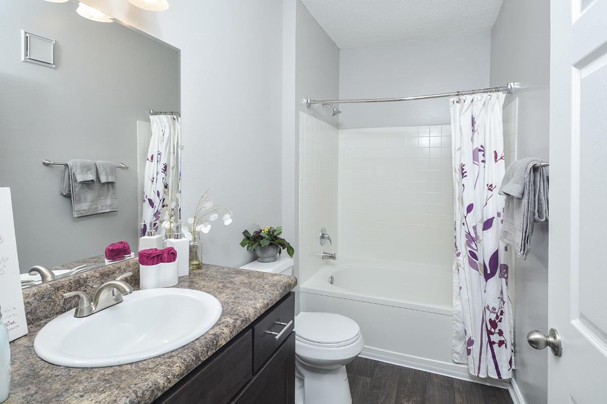 Carrington Park Apartments in Murfreesboro, TN - Interior 21.jpg