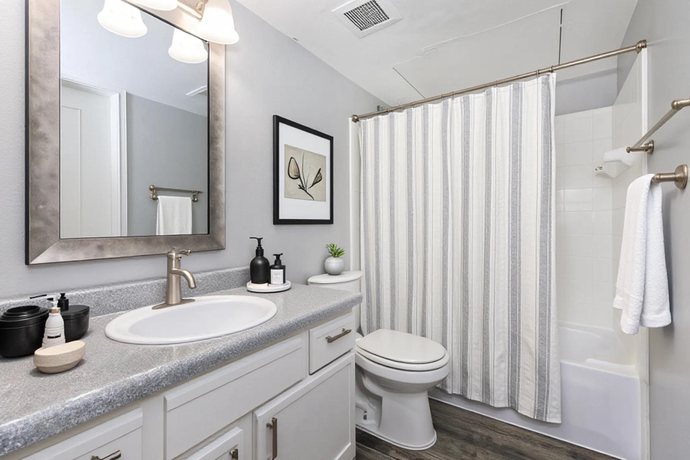 A clean, modern bathroom featuring a white vanity with a gray countertop, a large mirror above, and a decorative framed print on the wall. There’s a striped shower curtain, a toilet, and neatly arranged toiletries on the countertop, along with a small green plant. Natural light illuminates the space.
