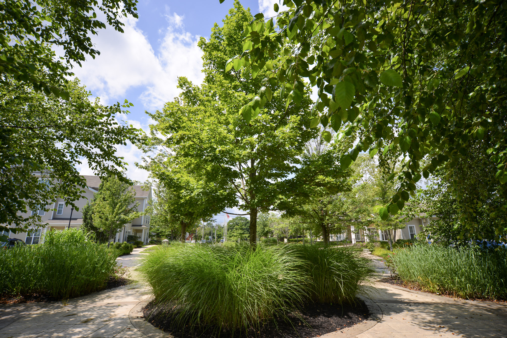 Lush green trees stand in a landscaped park, surrounded by vibrant grass. The sky is bright with scattered clouds, creating a serene outdoor atmosphere. Pathways can be seen winding through the greenery, inviting visitors to explore the peaceful setting.