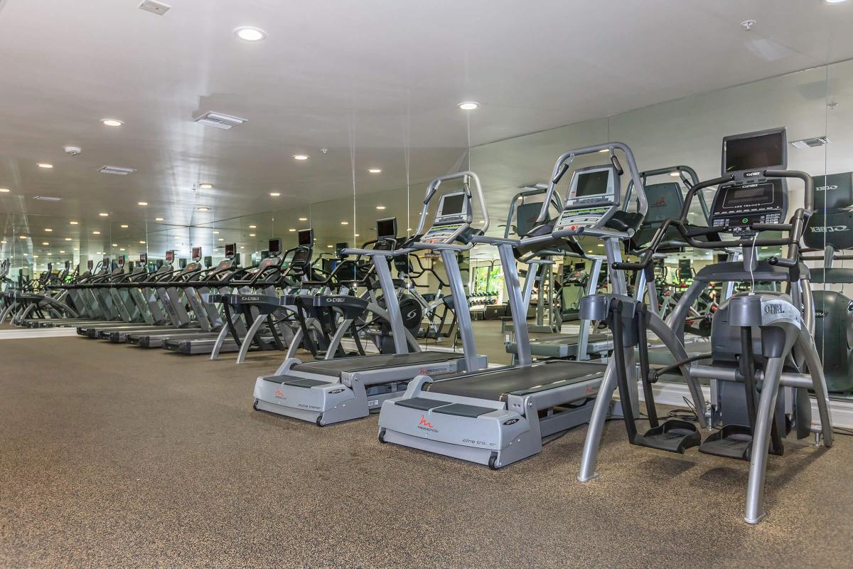 EXERCISE EQUIPMENT WITH INDIVIDUAL FLAT-SCREEN TV'S
