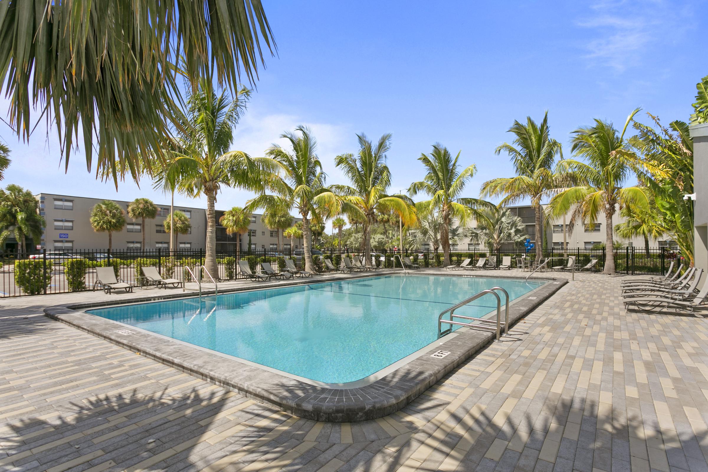 a pool next to a palm tree