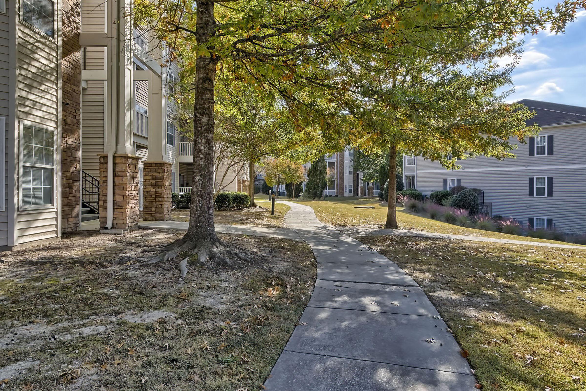 a path with trees on the side of a house