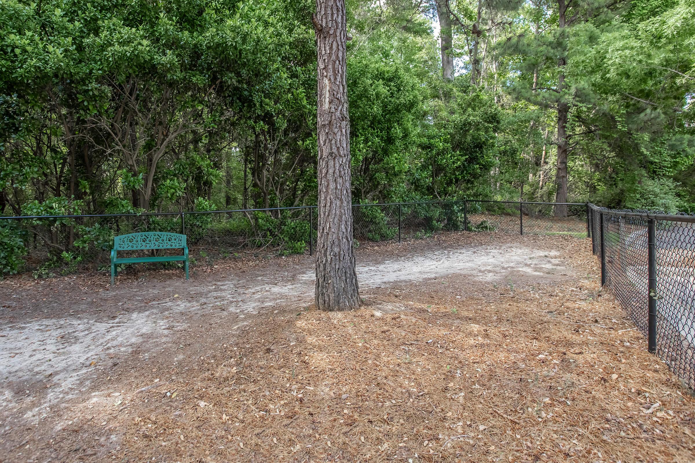 A tree stands in the center of a path surrounded by greenery. To the left, there's a green bench facing the tree, while a black fence lines the area, partially enclosing the space. The ground is covered in dirt and wood chips, suggesting a tranquil outdoor setting in a park.