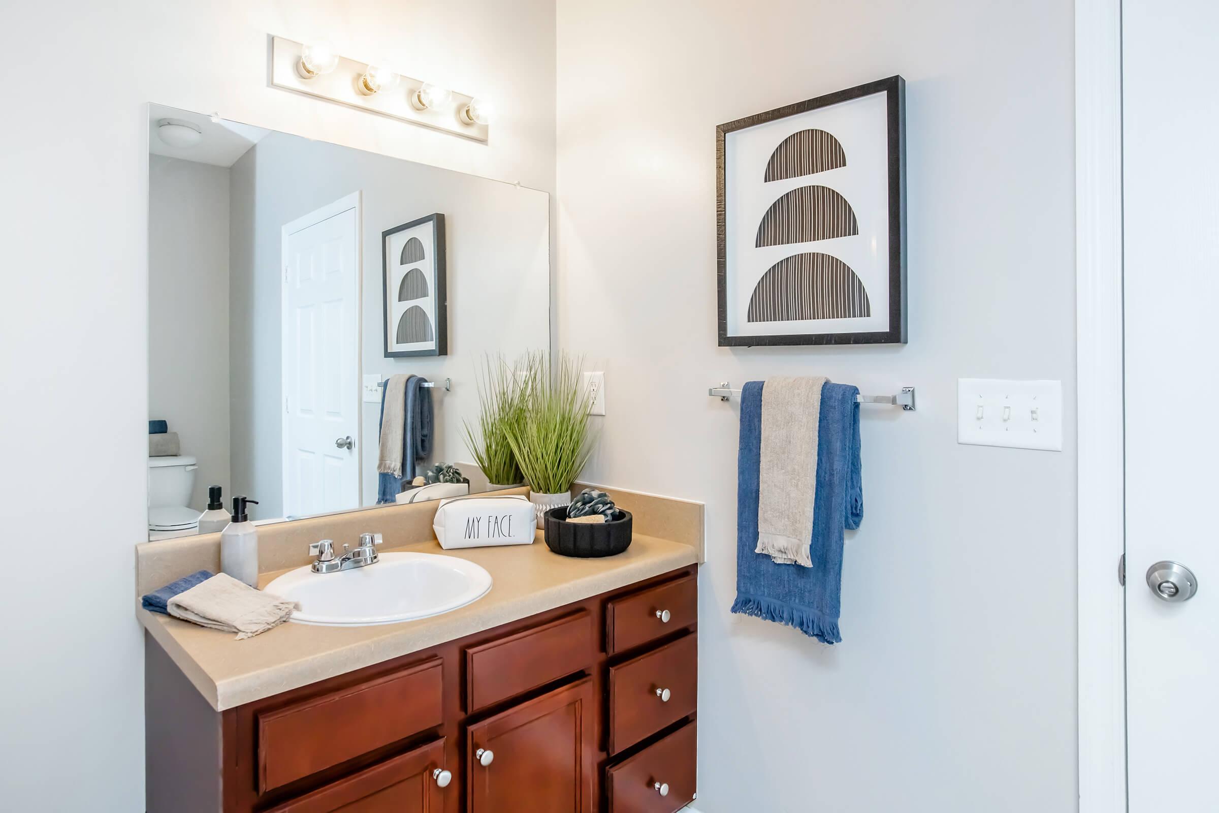 A modern bathroom featuring a light beige countertop with a white sink, wooden cabinetry, a wall mirror with bright lighting, and decorative elements including a framed artwork, potted plant, and neatly hung towels. The walls are painted in a light gray tone, contributing to a clean and contemporary look.