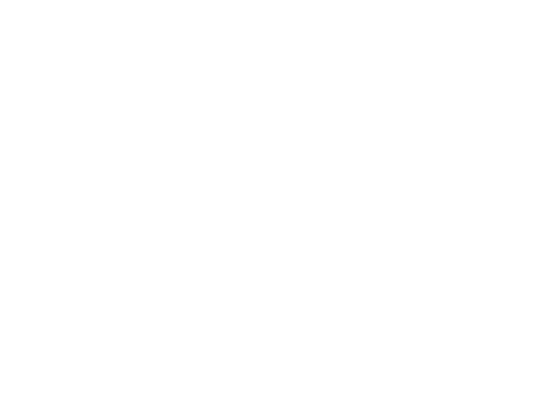 Lullwater at Saluda Pointe ebrochure logo