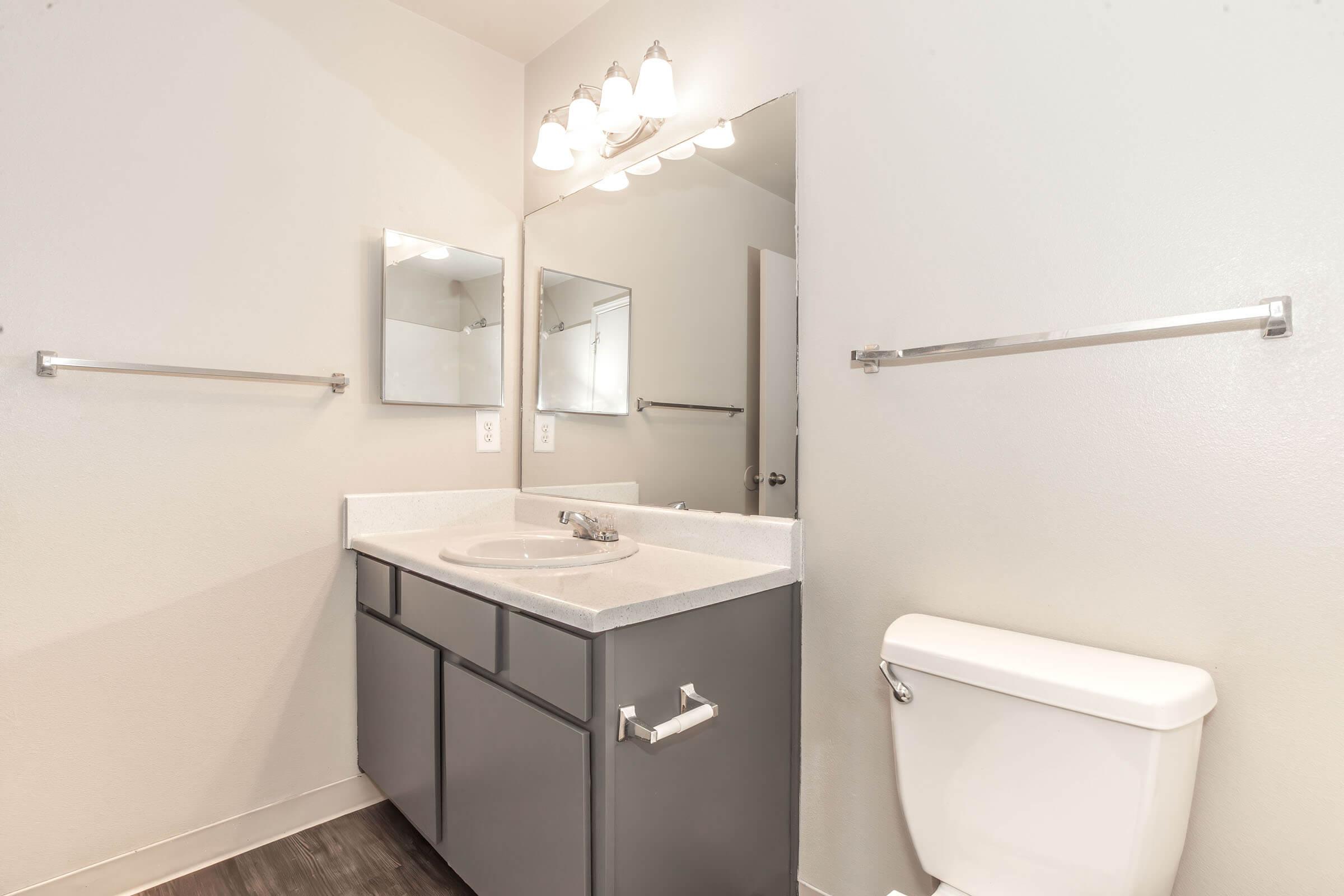 A modern bathroom featuring a gray vanity with a sink, two mirrors above, and brushed metal towel bars. A white toilet is situated beside the vanity, and the walls are painted a light color, enhancing the bright and clean appearance of the space.