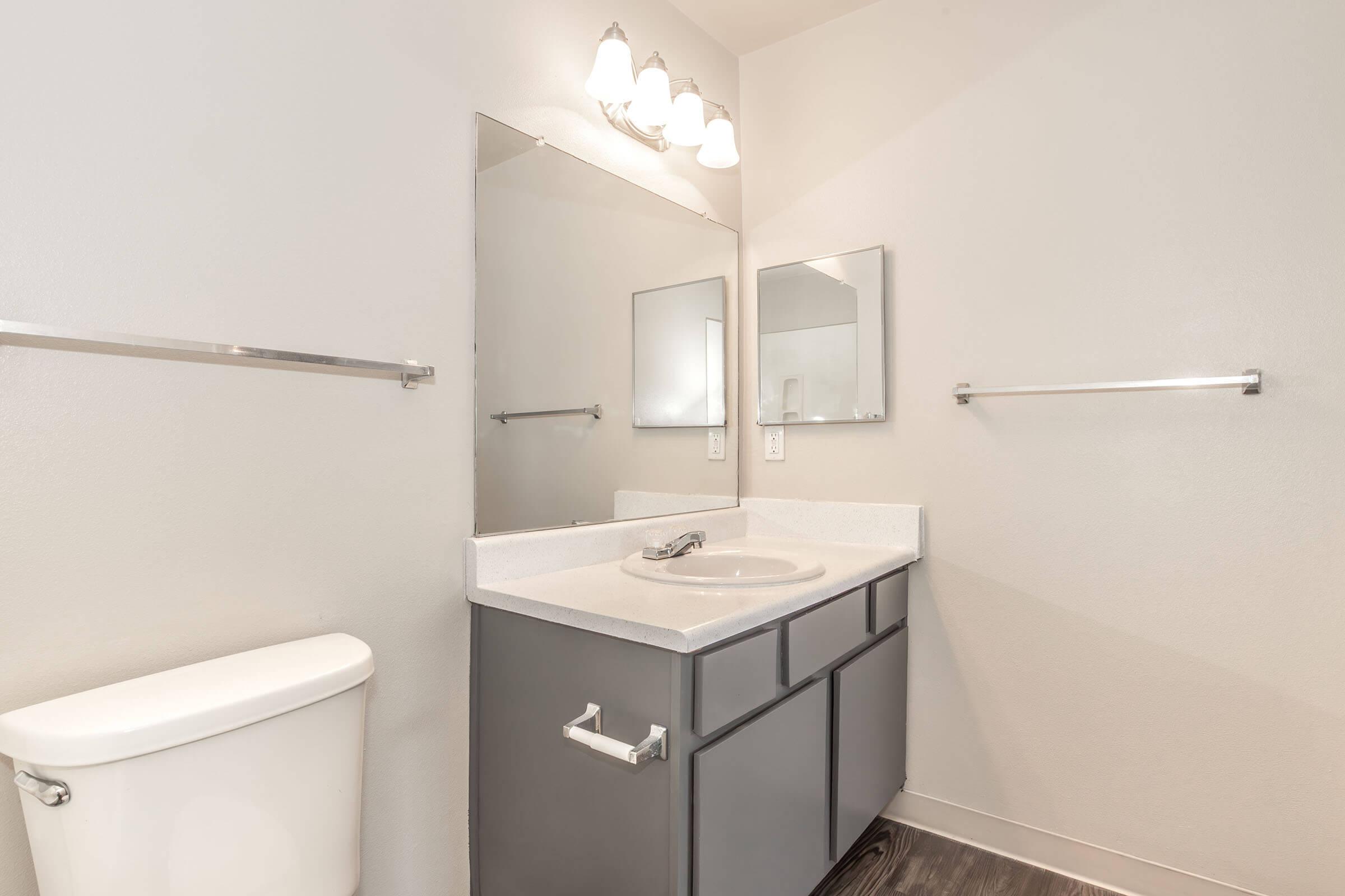 A clean bathroom featuring a gray vanity with a sink, a large mirror, and two metal towel bars. A white toilet is positioned to the left, and the walls are painted in a light color, creating a bright and airy atmosphere. Modern lighting fixtures are installed above the mirror.