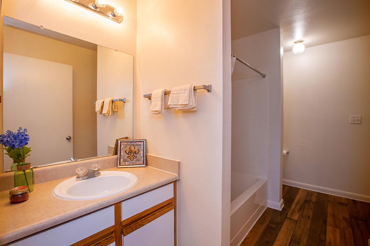 a white sink sitting under a mirror