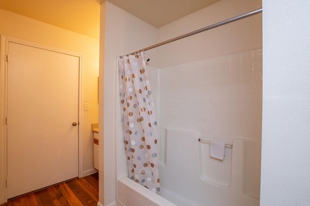 a close up of a shower in a small room