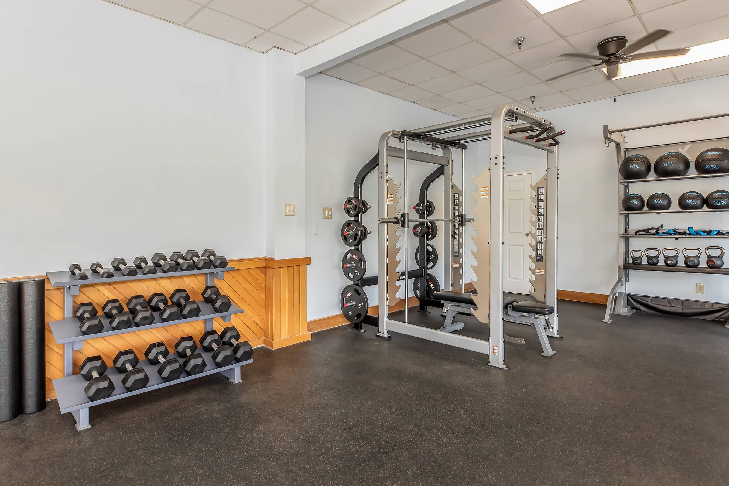 A well-equipped gym interior featuring a set of dumbbells on a rack, a power cage for strength training, and kettlebells on a wall shelf. The flooring is black rubber, and there is a ceiling fan overhead for ventilation. The space is bright with ample natural light.
