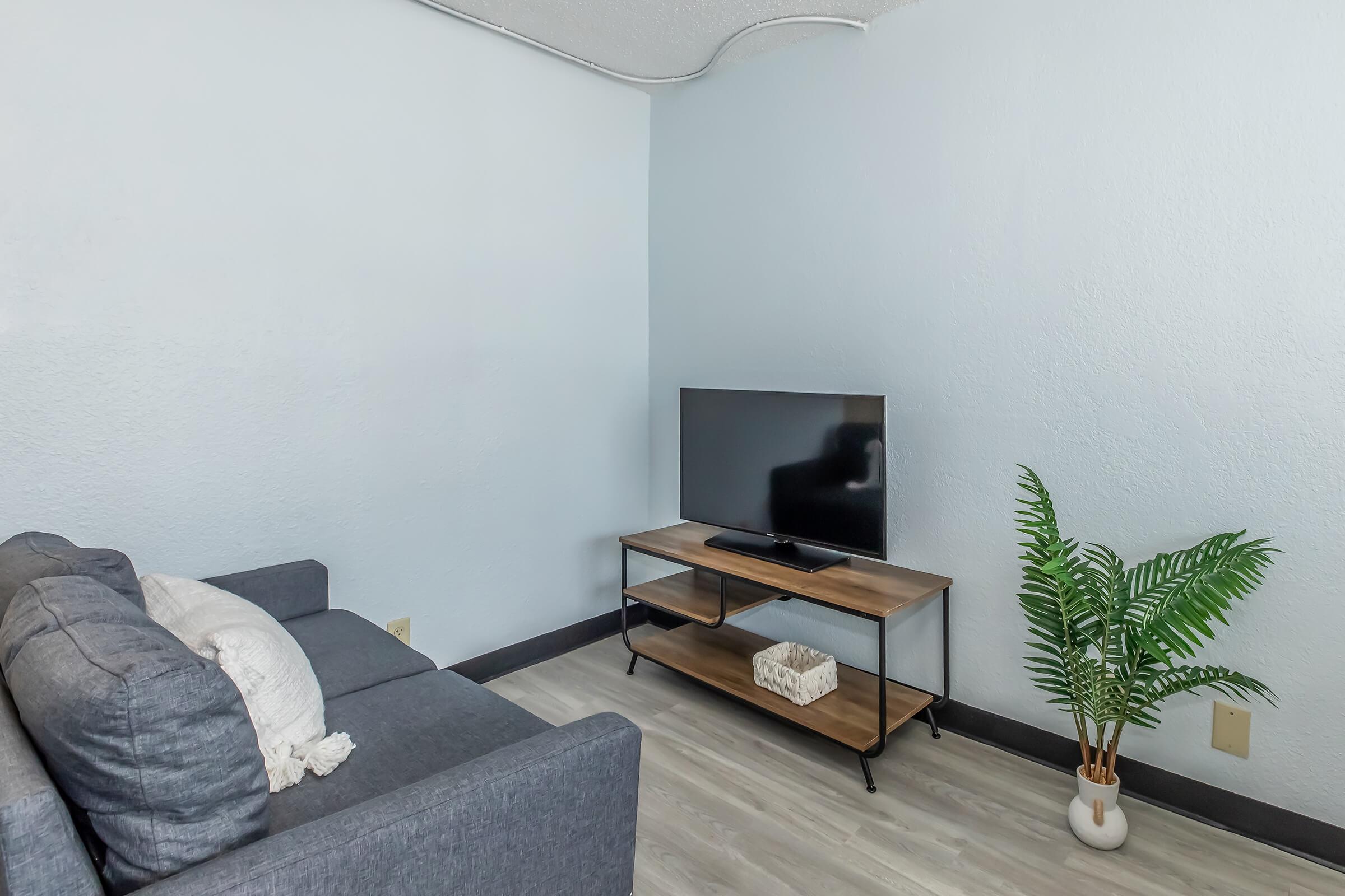 A cozy living room featuring a gray sofa, a wooden TV stand with a flat-screen television, and a decorative plant in a pot. The walls are painted light blue, adding to the relaxed ambiance, with wooden flooring completing the aesthetic.