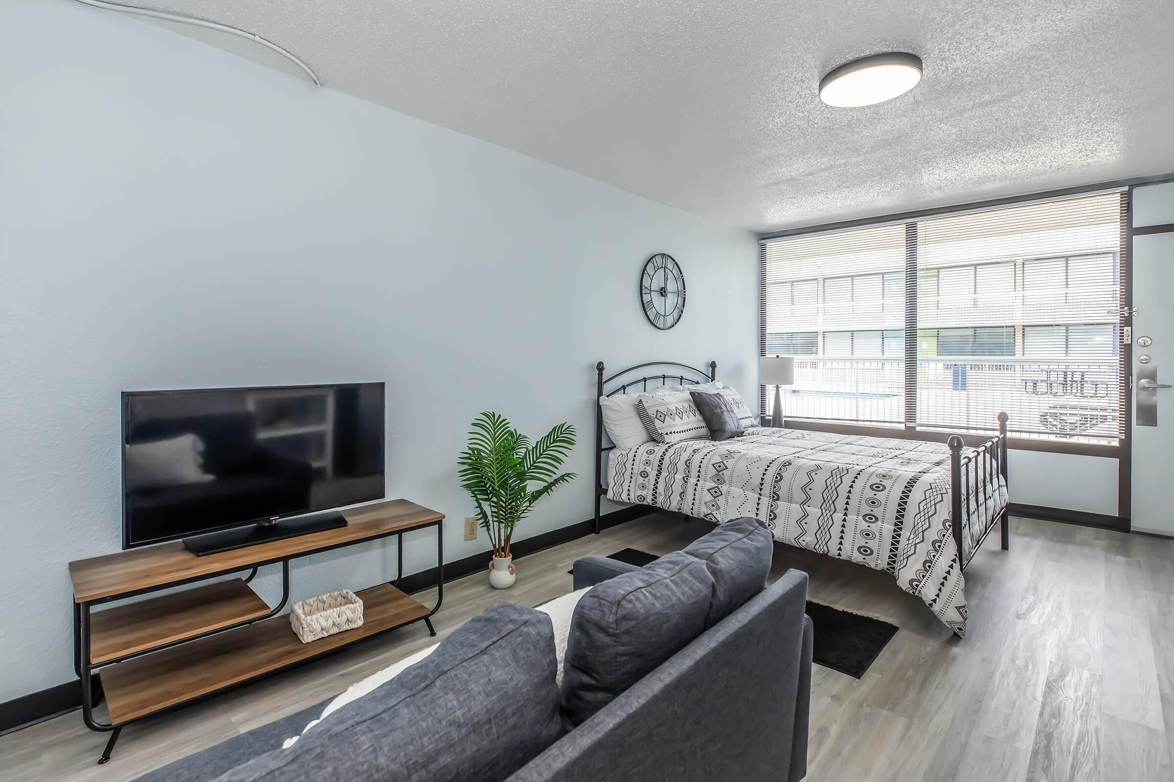 A cozy studio apartment featuring a bed with patterned bedding, a flat-screen TV on a wooden stand, and a sofa. There's a potted plant in the corner and large windows allowing natural light to fill the space. The walls are painted light blue, creating a fresh and inviting atmosphere.