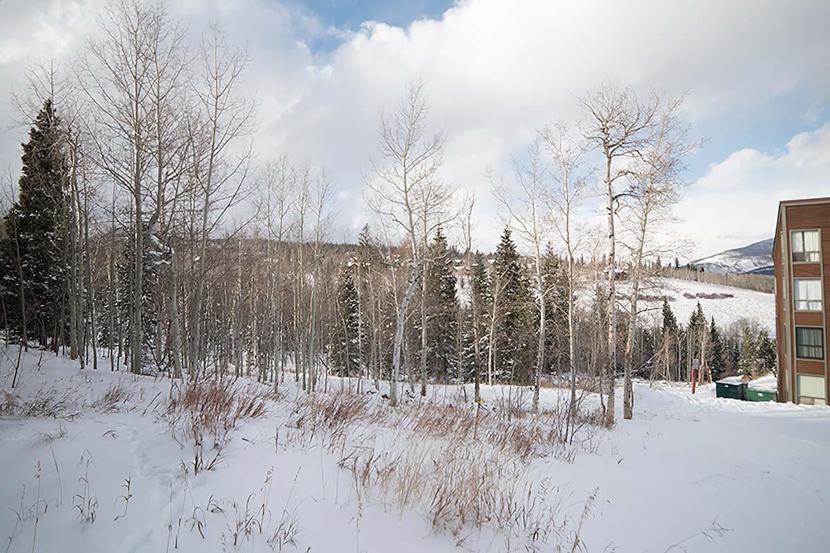 A snowy landscape featuring a cluster of bare trees alongside evergreens. The scene includes a mountain in the background and a building on the right, with patches of grass peeking through the snow. The sky is partly cloudy, adding a serene winter atmosphere to the setting.