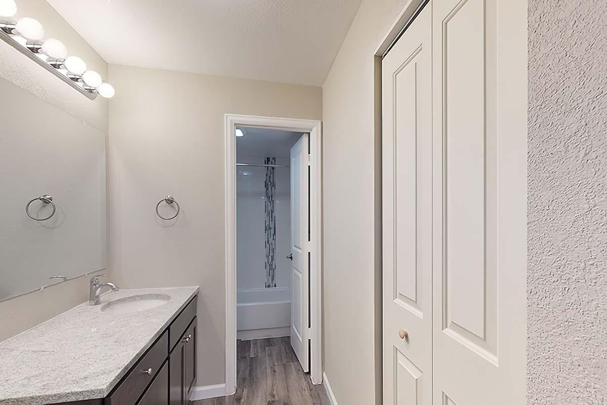 A well-lit bathroom featuring a large wall mirror above a granite countertop, dark cabinetry, and a towel holder. A door leads to a separate area with a bathtub and shower, while another door provides access to a closet. The walls are painted in a light color, and the floor has a wood-like finish.