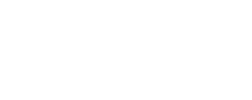 Ryan Gulch ebrochure logo