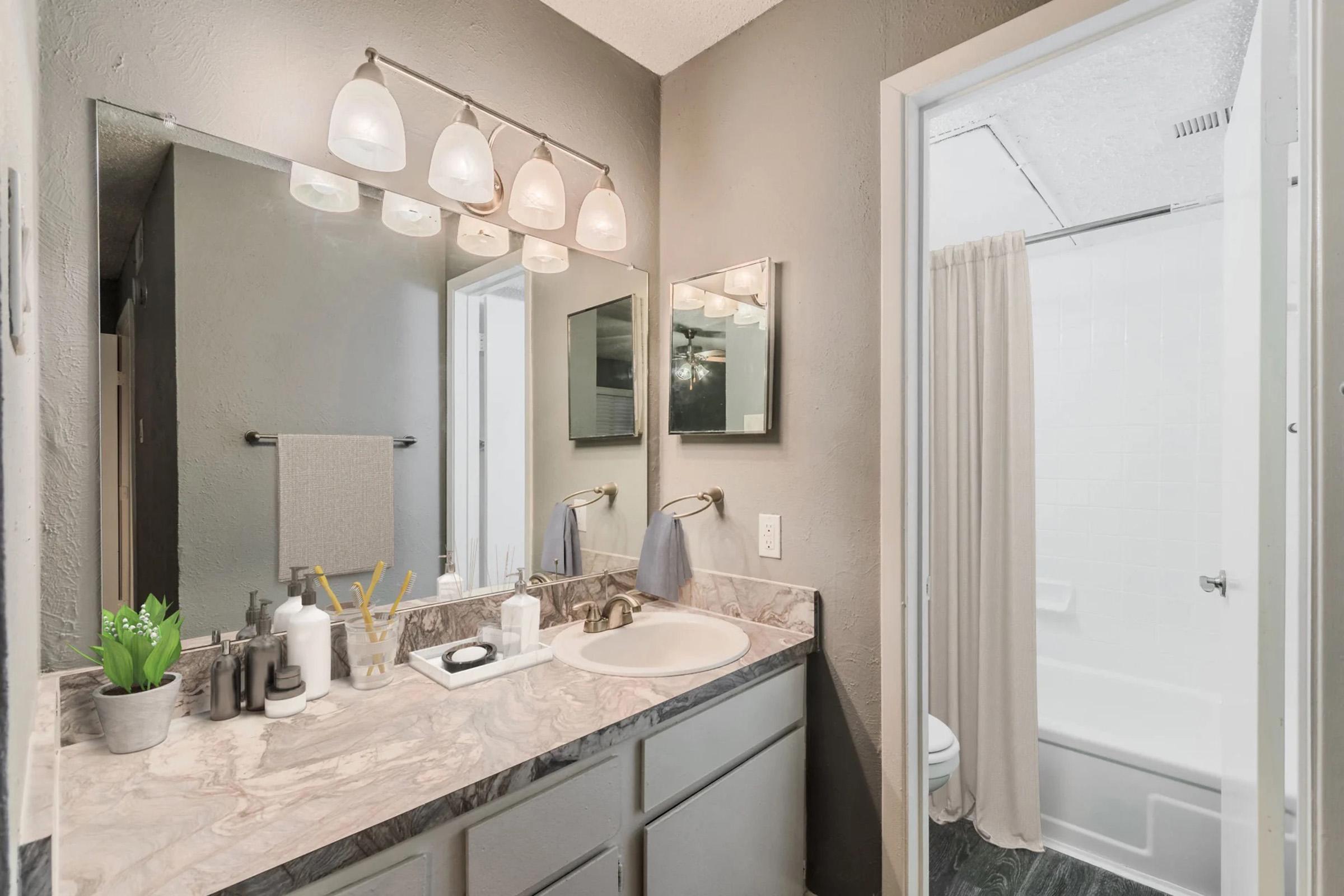 A well-lit bathroom featuring a marble countertop with various toiletries, a small plant, and a sink. A large mirror reflects the space, and the walls are painted in a soft gray. To the right, a shower with a curtain and a toilet can be seen, creating a clean and modern aesthetic.