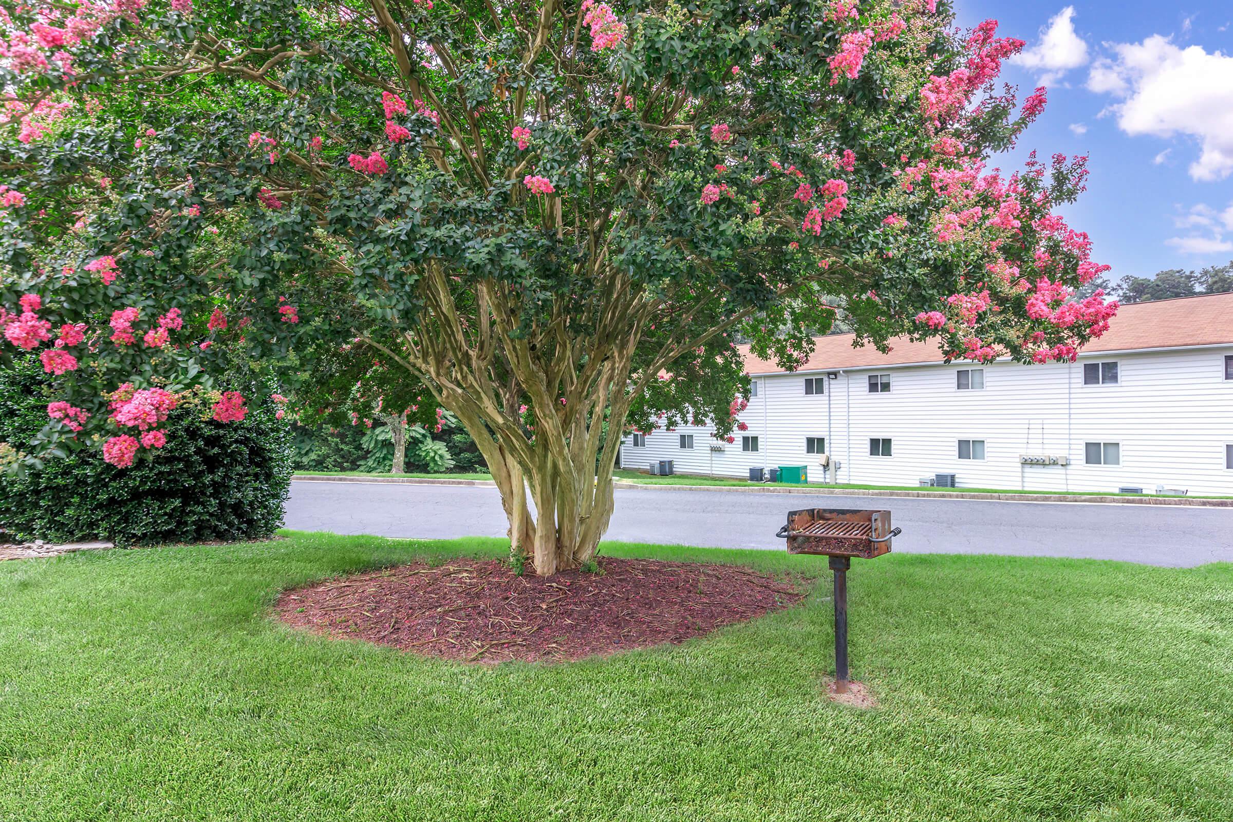 a pink flower in a park