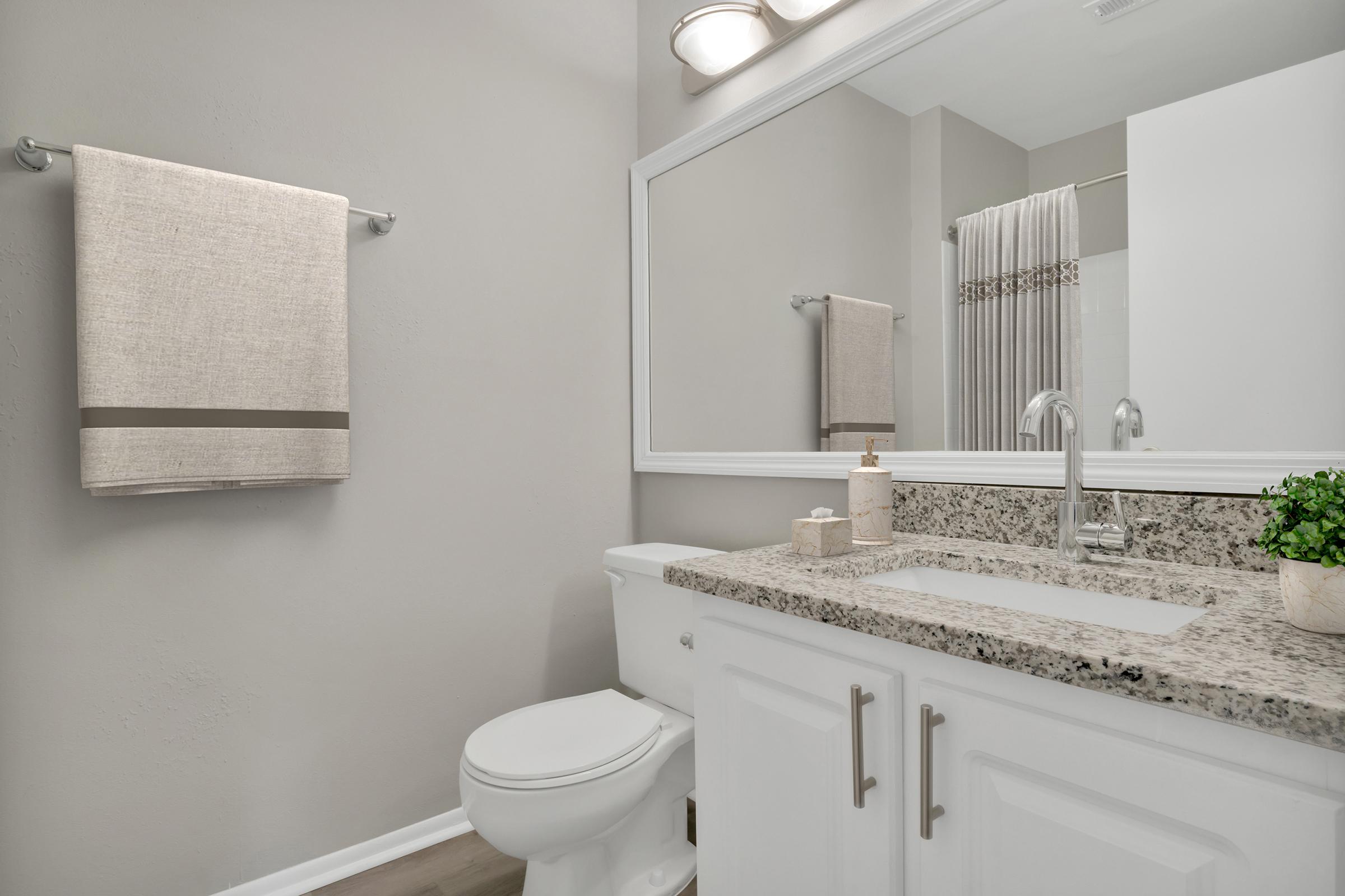 A modern bathroom featuring a clean white toilet, a granite countertop with a sink, and a rectangular mirror. The walls are painted in a light gray color, and a beige towel hangs on a rack. A small potted plant and decorative items are displayed on the countertop, and a shower curtain is visible in the background.