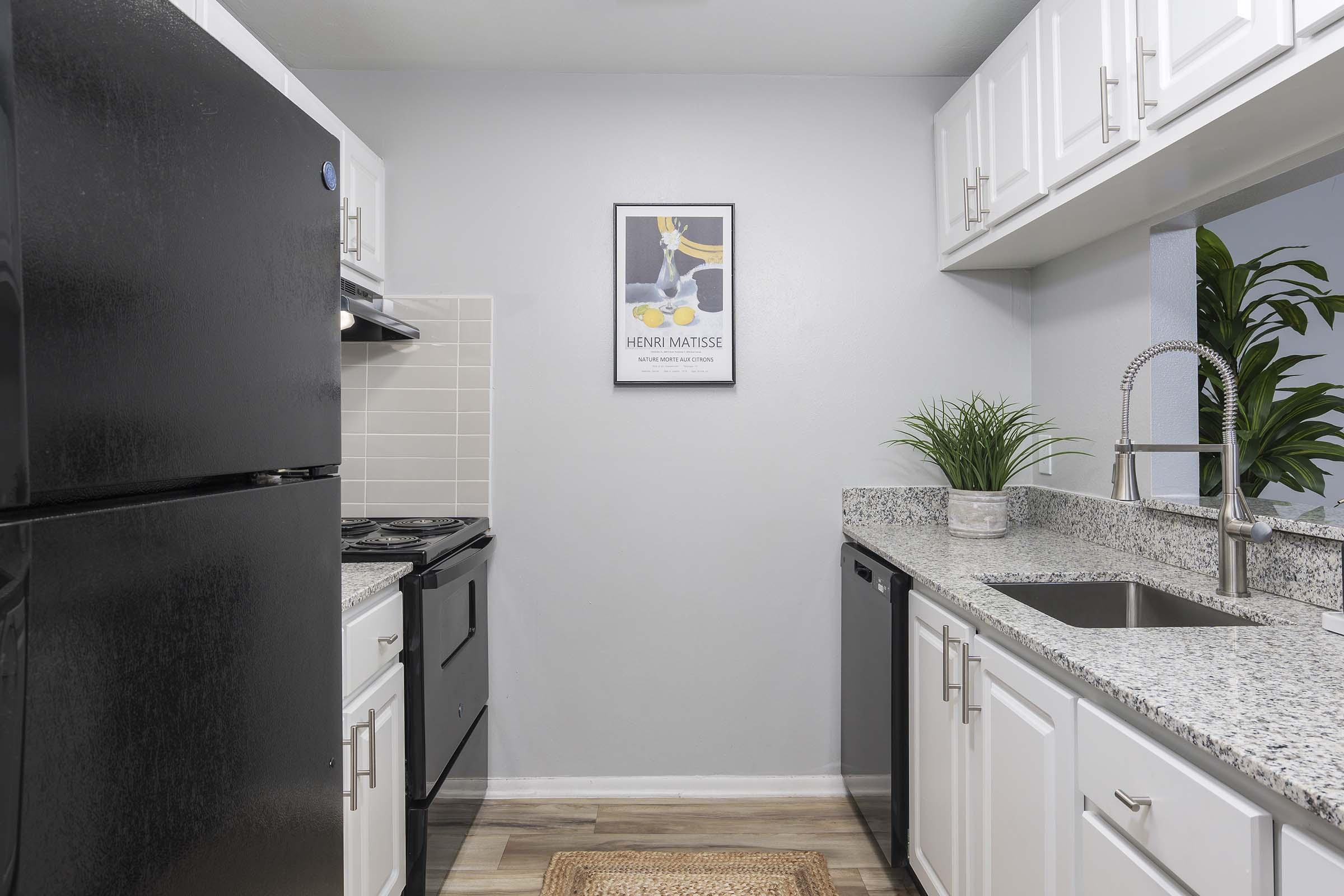 A modern kitchen featuring black appliances including a refrigerator and stove, white cabinetry, and a granite countertop. There’s a sink with a modern faucet, a potted plant, and a framed artwork on the wall. The floor has a natural fiber rug, and the walls are painted a light color, creating a bright and inviting atmosphere.