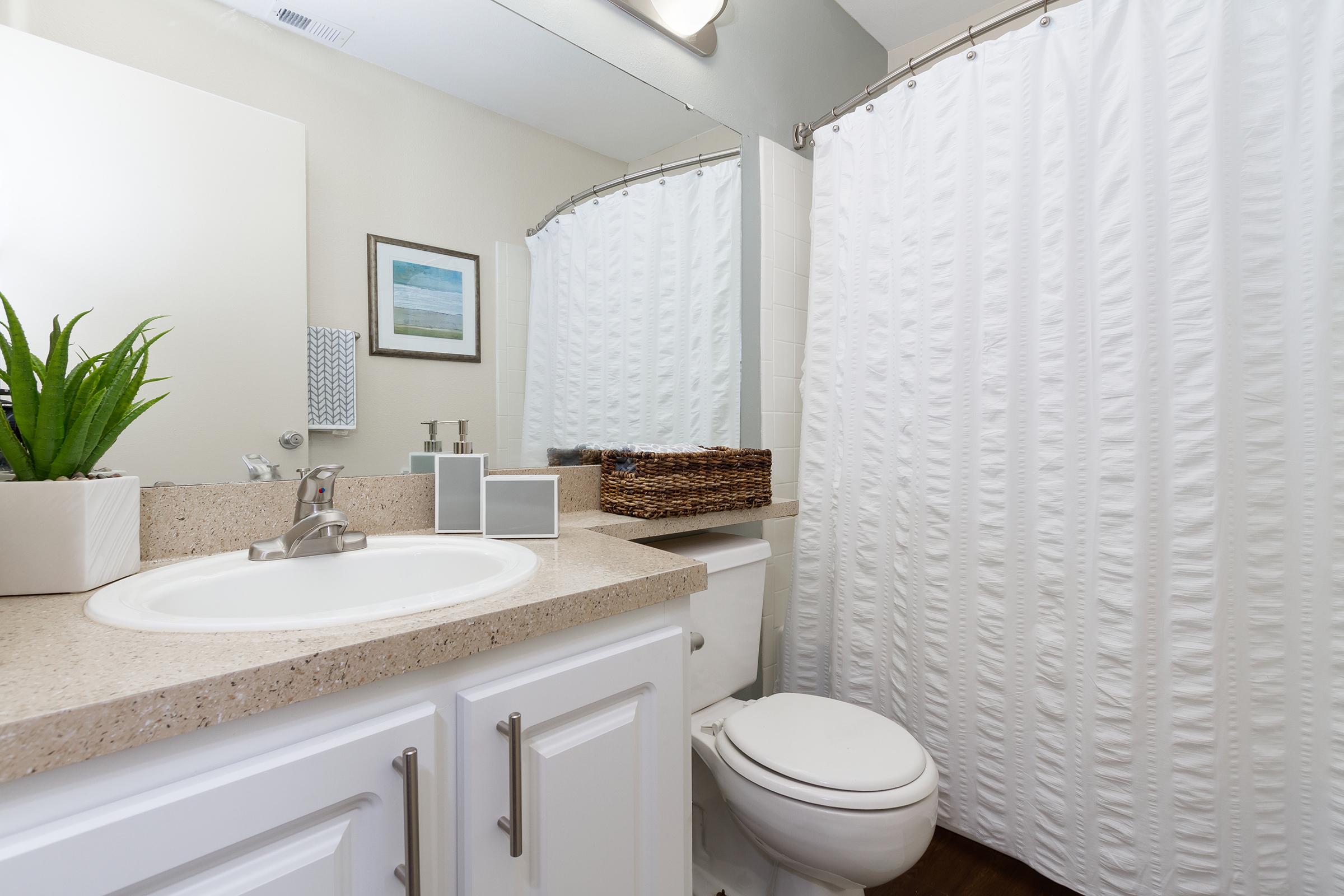 A modern bathroom featuring a beige countertop with a sink, a white shower curtain, a small plant in a planter, and decorative storage containers. A mirror hangs above the sink, with light-colored walls and a framed picture adding to the decor. The floor is dark wood.