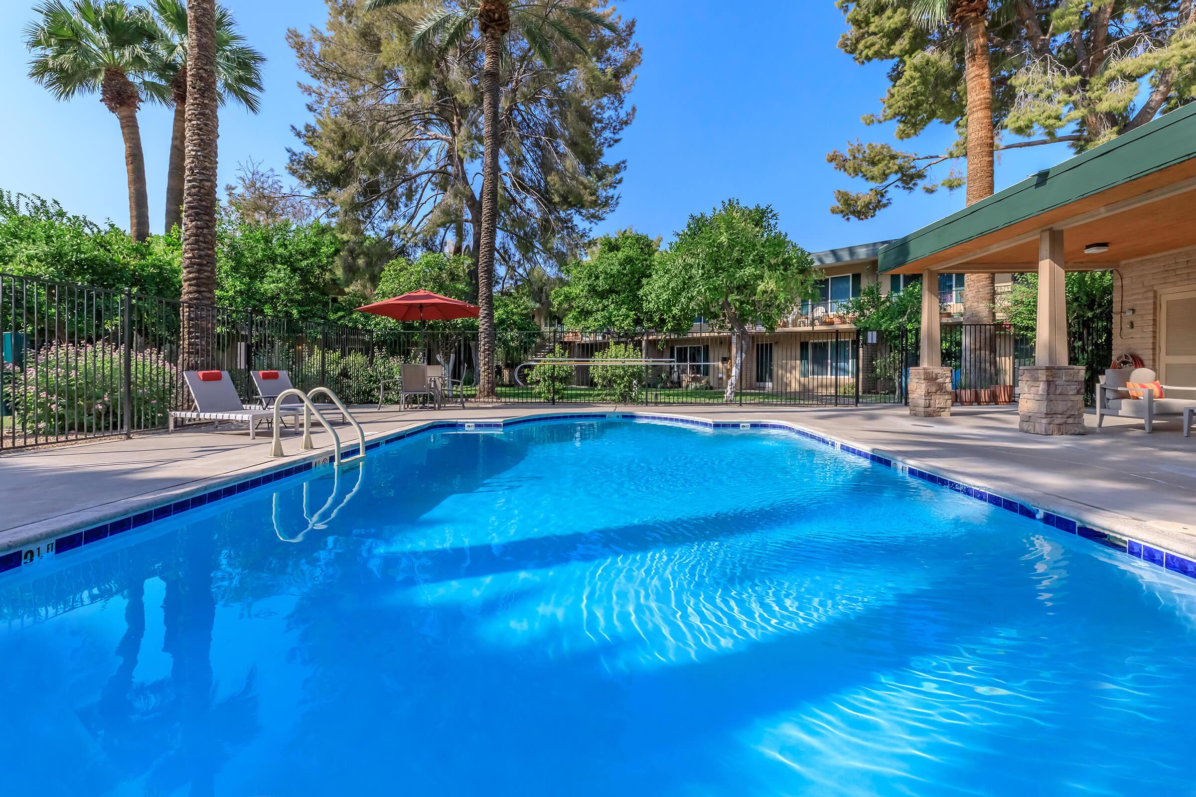 a group of palm trees next to a swimming pool