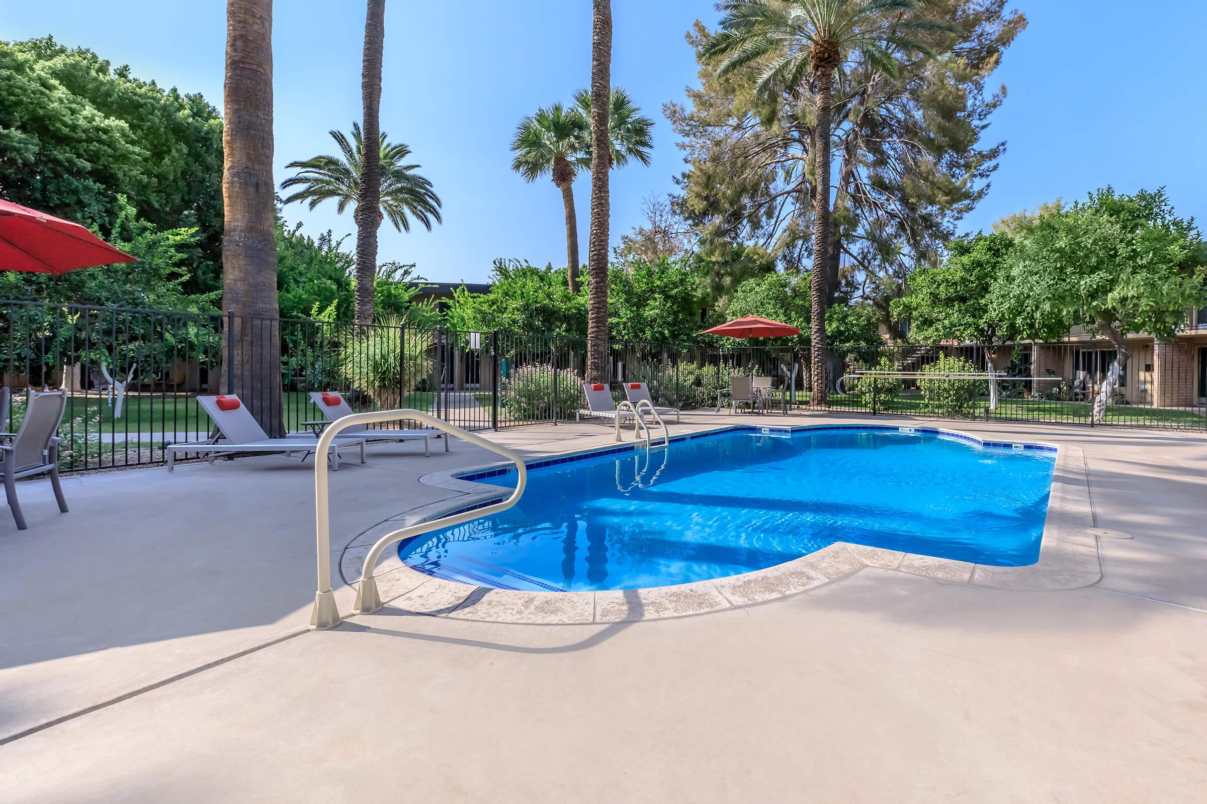 a row of palm trees next to a swimming pool