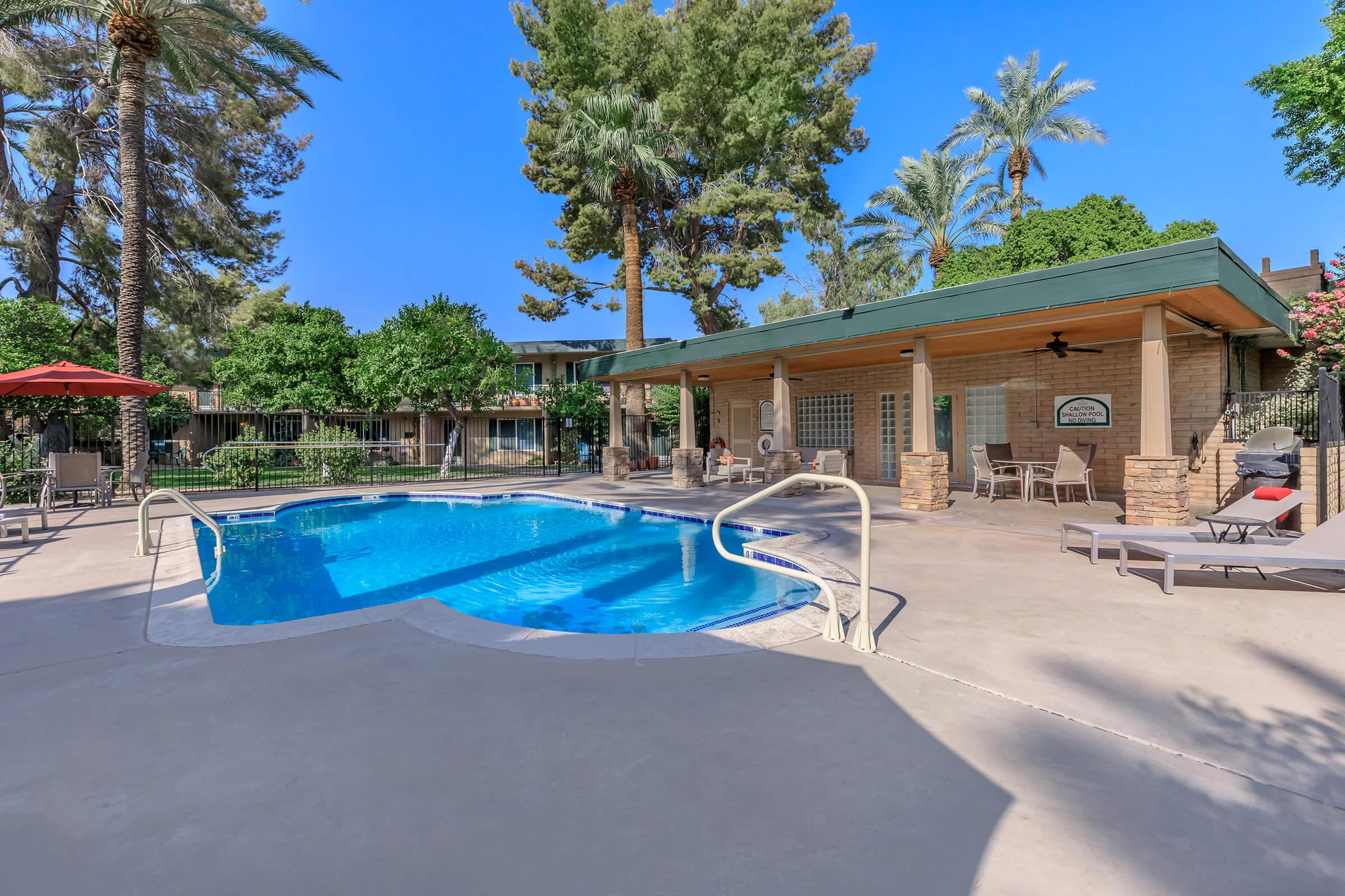 a pool next to a palm tree