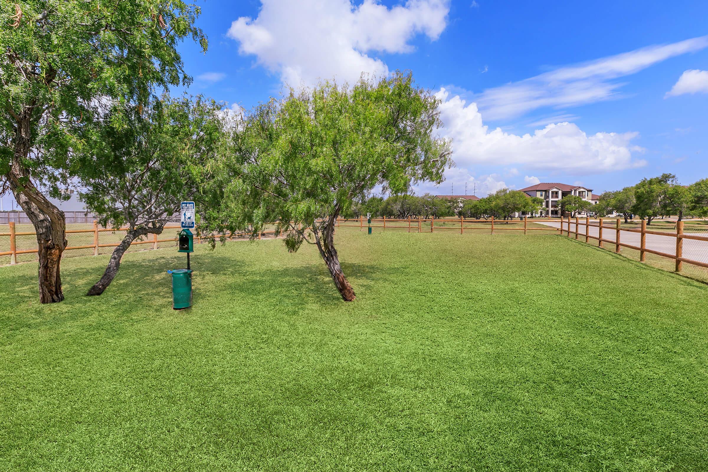 a group of people in a field of green grass