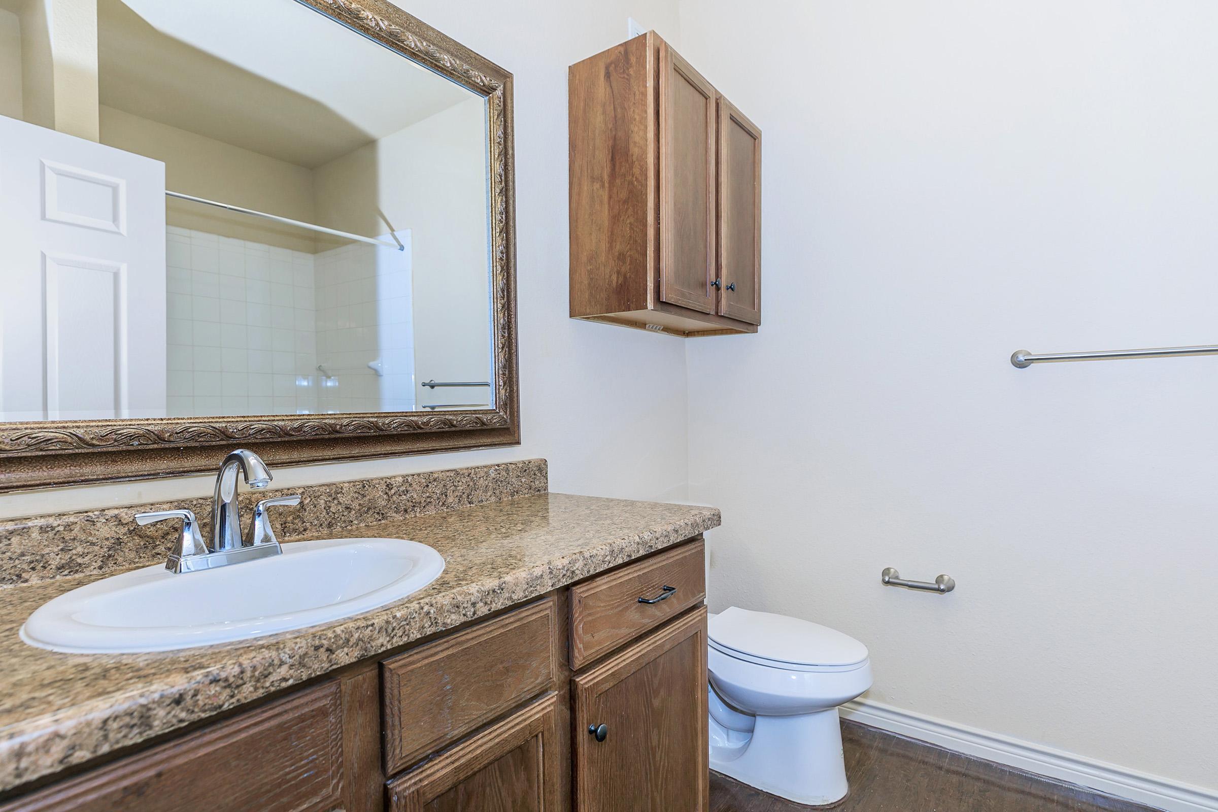 a double sink and large mirror