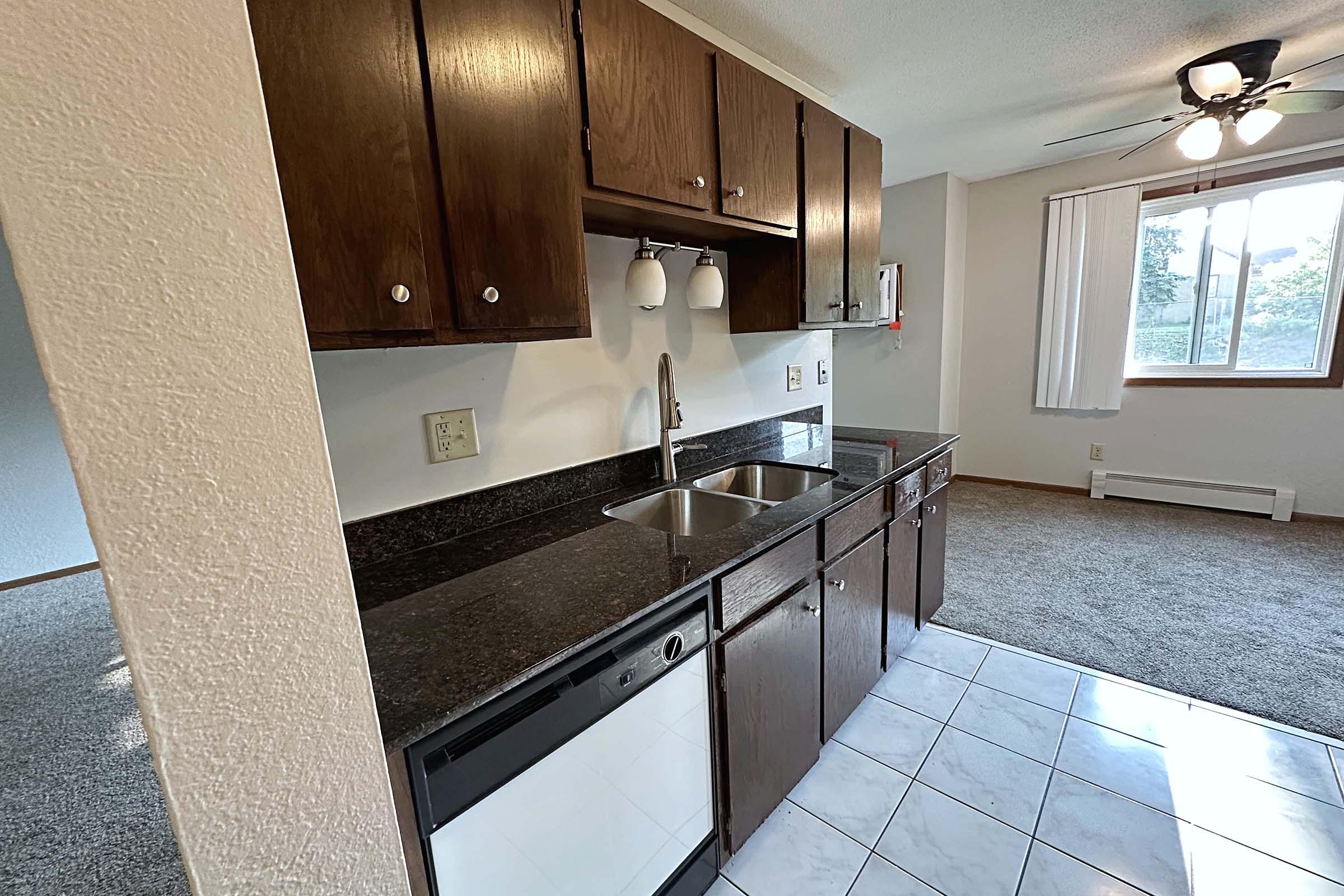 a kitchen with a sink and a window