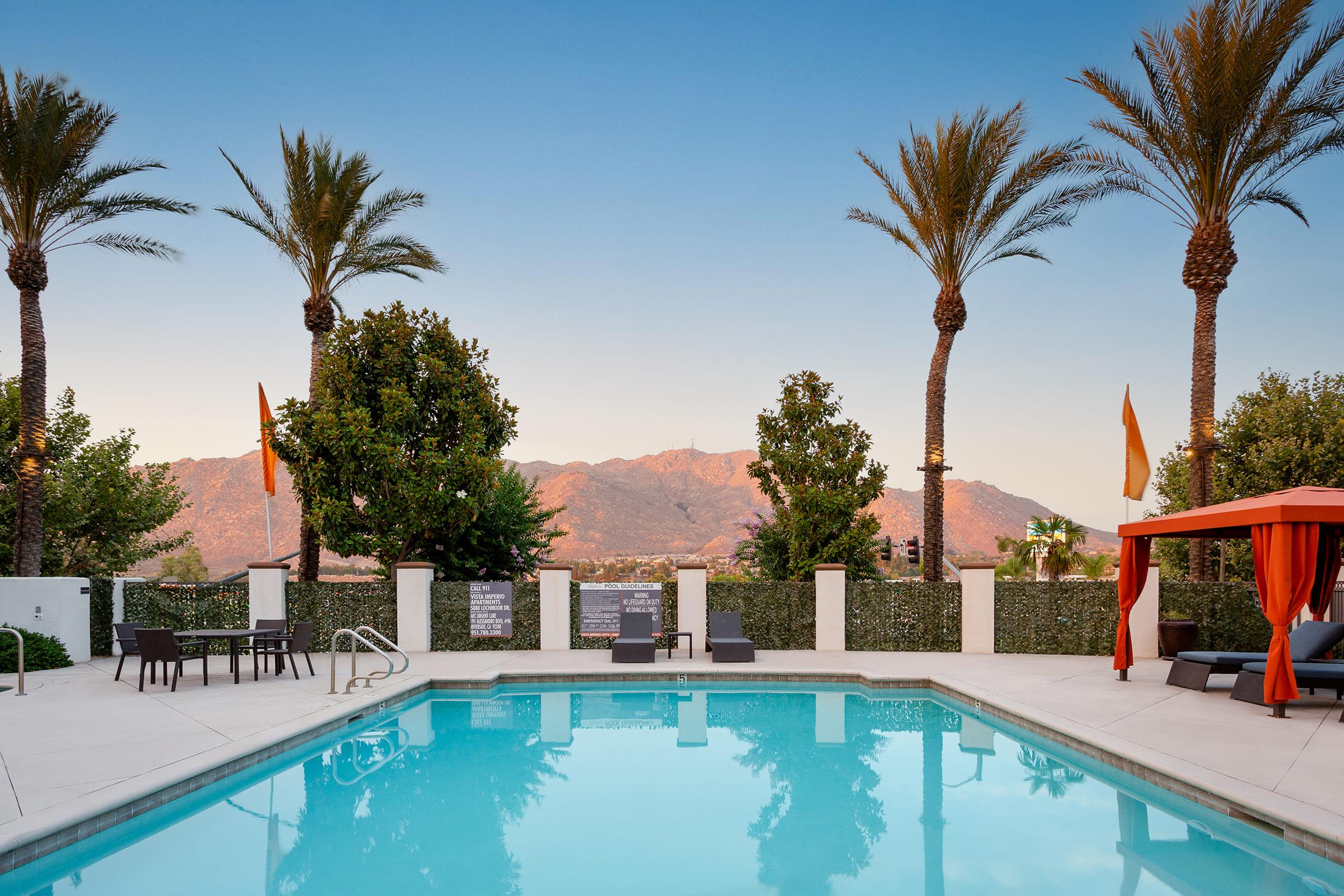 a group of palm trees next to a pool