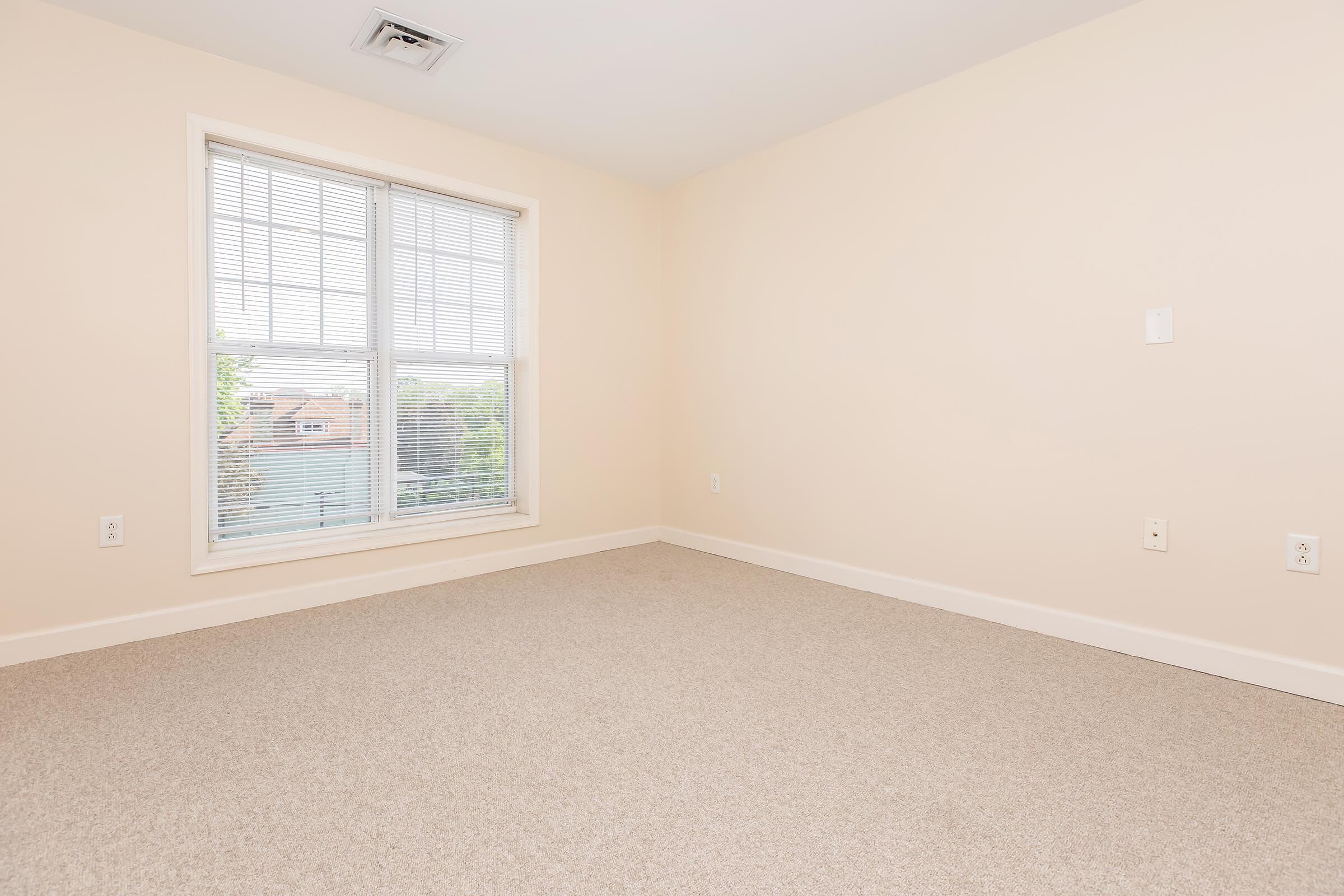 Empty room with light beige walls and a large window allowing natural light. The floor is covered in a soft, light-colored carpet. The room has minimal furnishings, creating a spacious and airy atmosphere. There are electrical outlets on the walls.