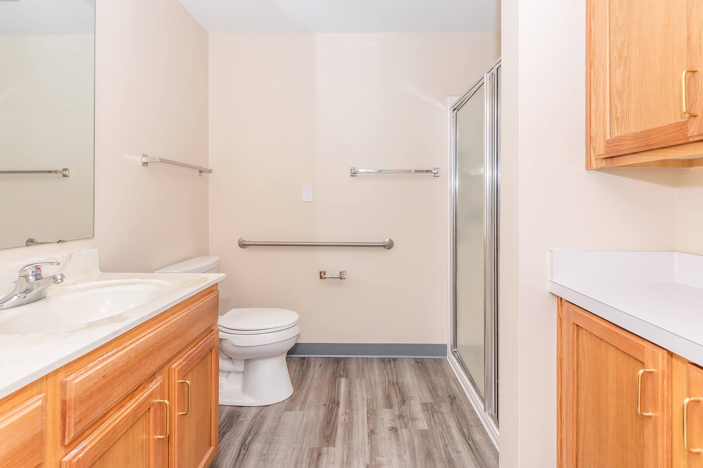 A clean and modern bathroom featuring a sink with wooden cabinetry, a toilet, and a spacious shower area. The walls are a light beige color with a large mirror above the sink. Grab bars are installed for safety, and the flooring is a wood-like laminate. Natural light brightens the room.