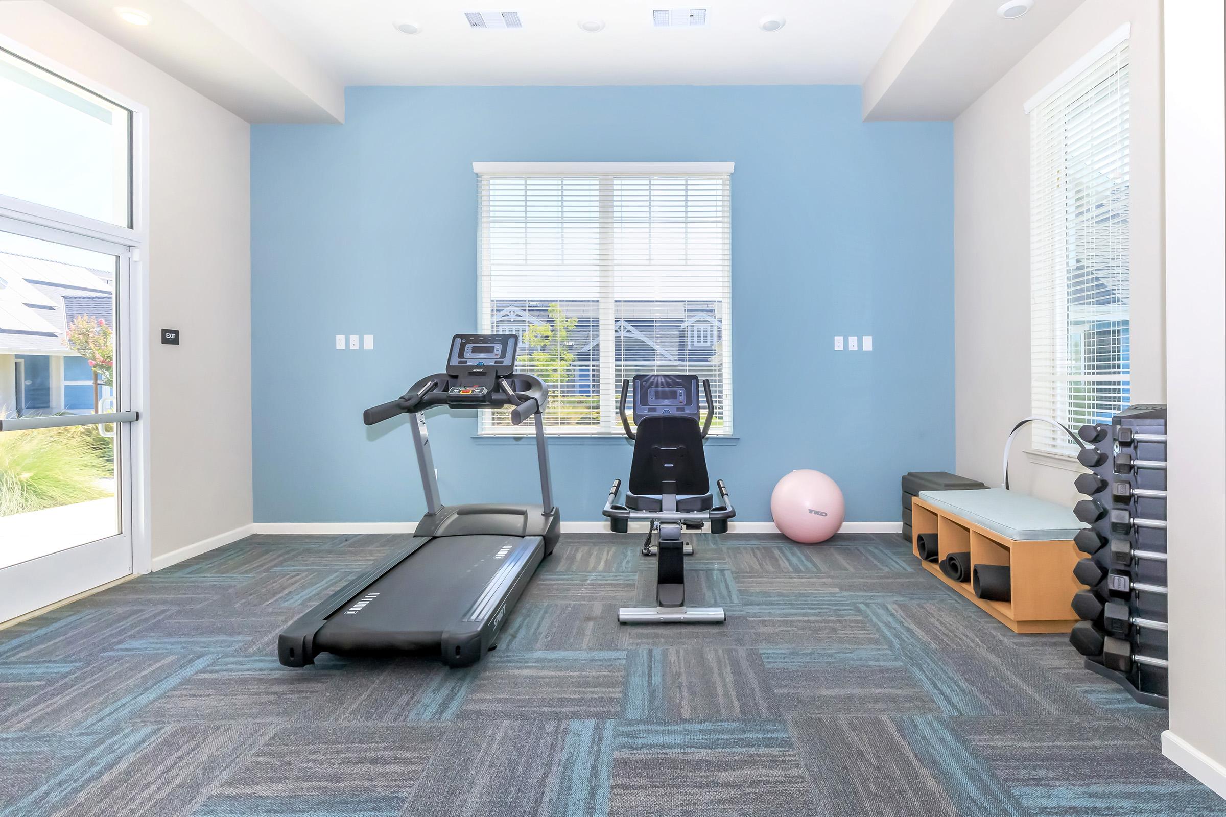 A modern fitness room featuring a treadmill, a rowing machine, a large exercise ball, and a rack of weights. Large windows provide natural light, and the walls are painted a calming blue. The space is designed for exercise and wellness activities.