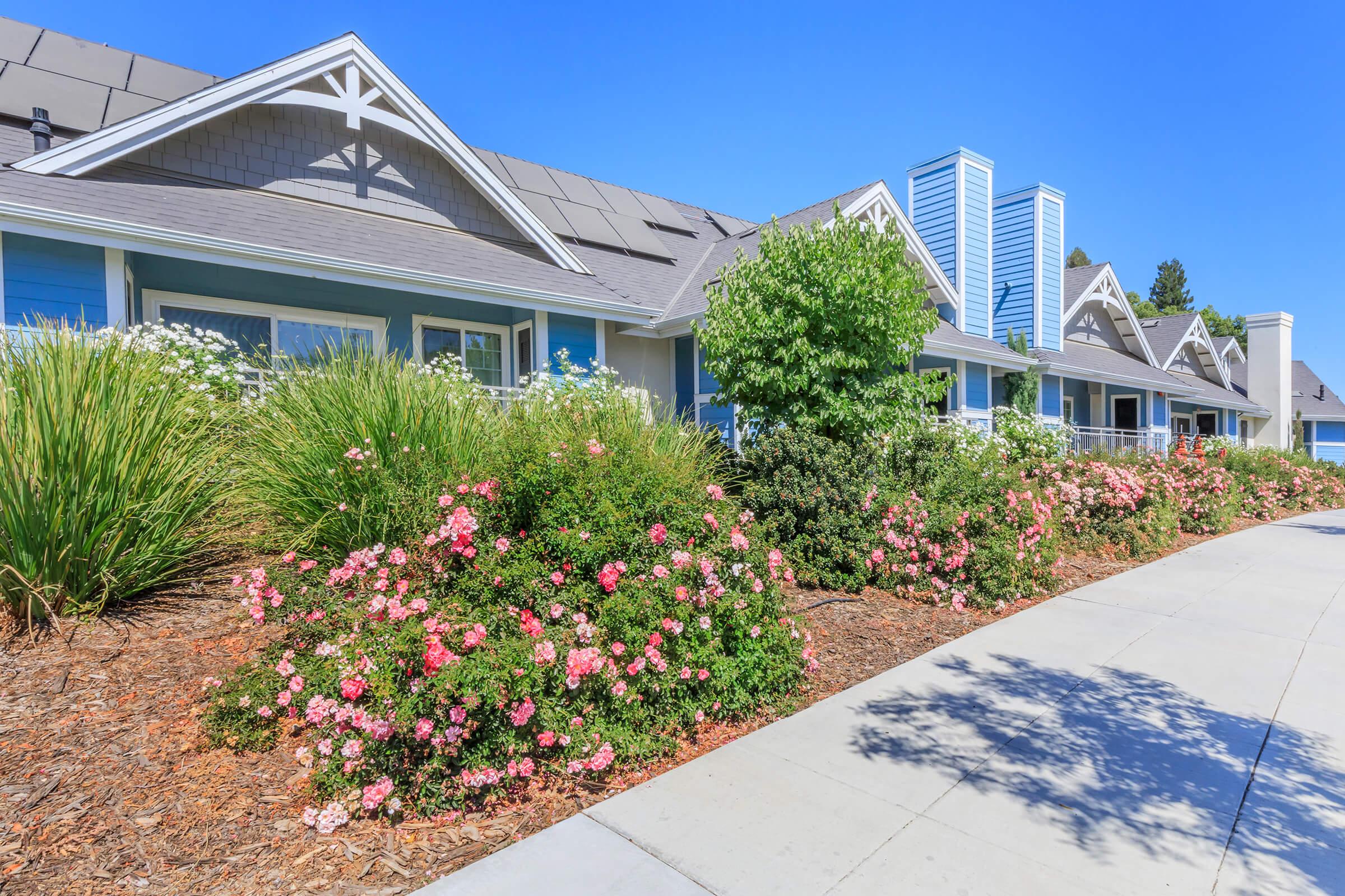 A row of charming houses with light blue exteriors and distinctive roof designs, surrounded by vibrant flower beds. The landscape features lush greenery and colorful pink blooms, against a clear blue sky. A paved walkway leads through the garden area, creating an inviting atmosphere.