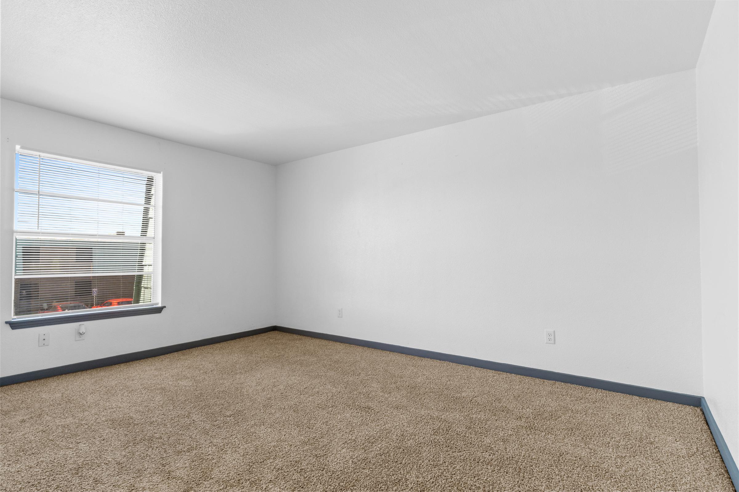 A spacious, empty room with light beige carpet, white walls, and a single window allowing natural light. The window has partially drawn blinds, and there is a subtle shadow on one wall, indicating daytime. The absence of furniture creates a minimalist, open atmosphere.