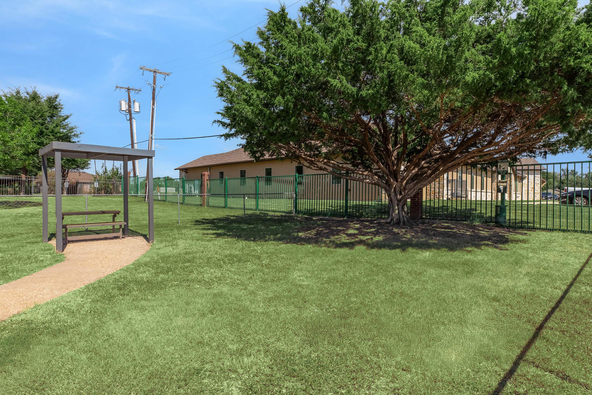 A grassy area featuring a wooden bench under a large tree, with a gravel pathway leading to it. In the background, there is a fence and a building, along with utility poles. The sky is clear and blue, creating a serene outdoor setting.