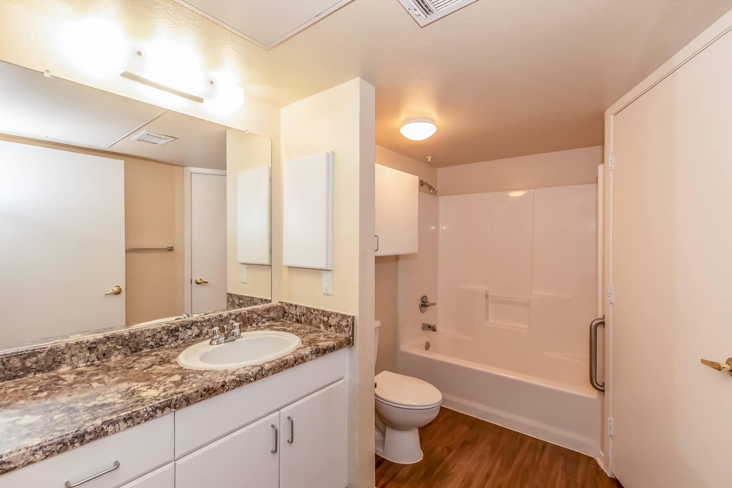 A clean and modern bathroom featuring a white tub with a shower, a sink with a granite countertop, a large mirror, light fixtures above the mirror, and neutral-colored walls. The flooring is a warm wood finish, and there is a toilet beside the tub.