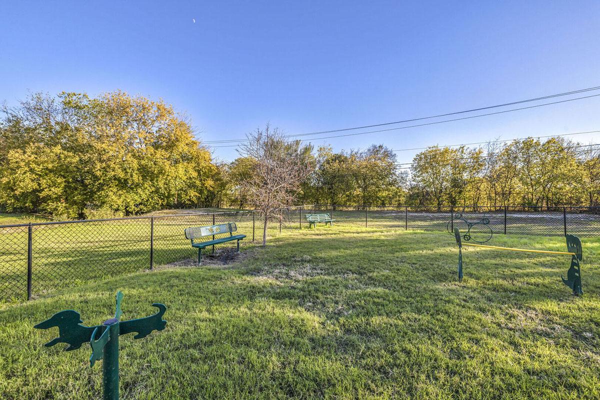 A spacious dog park with green grass, surrounded by a black fence. There are several benches for seating, and playful metal sculptures of dogs scattered around. In the background, trees with autumn-colored leaves line the perimeter, under a clear blue sky.
