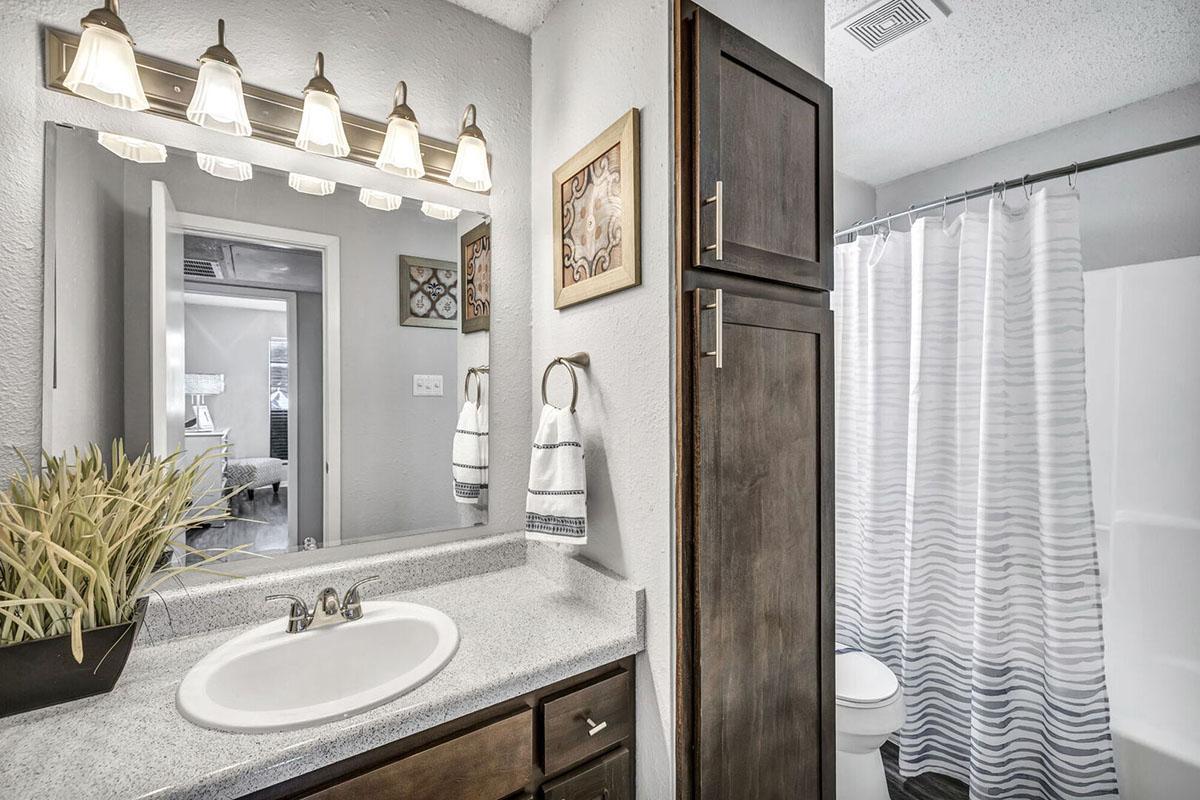Modern bathroom featuring a light gray wall, a white countertop sink with a mirror above, a dark wood cabinet, and a striped shower curtain. Decorative elements include a small plant and towel racks. The space is well-lit with vanity lights and has a clean, contemporary design.
