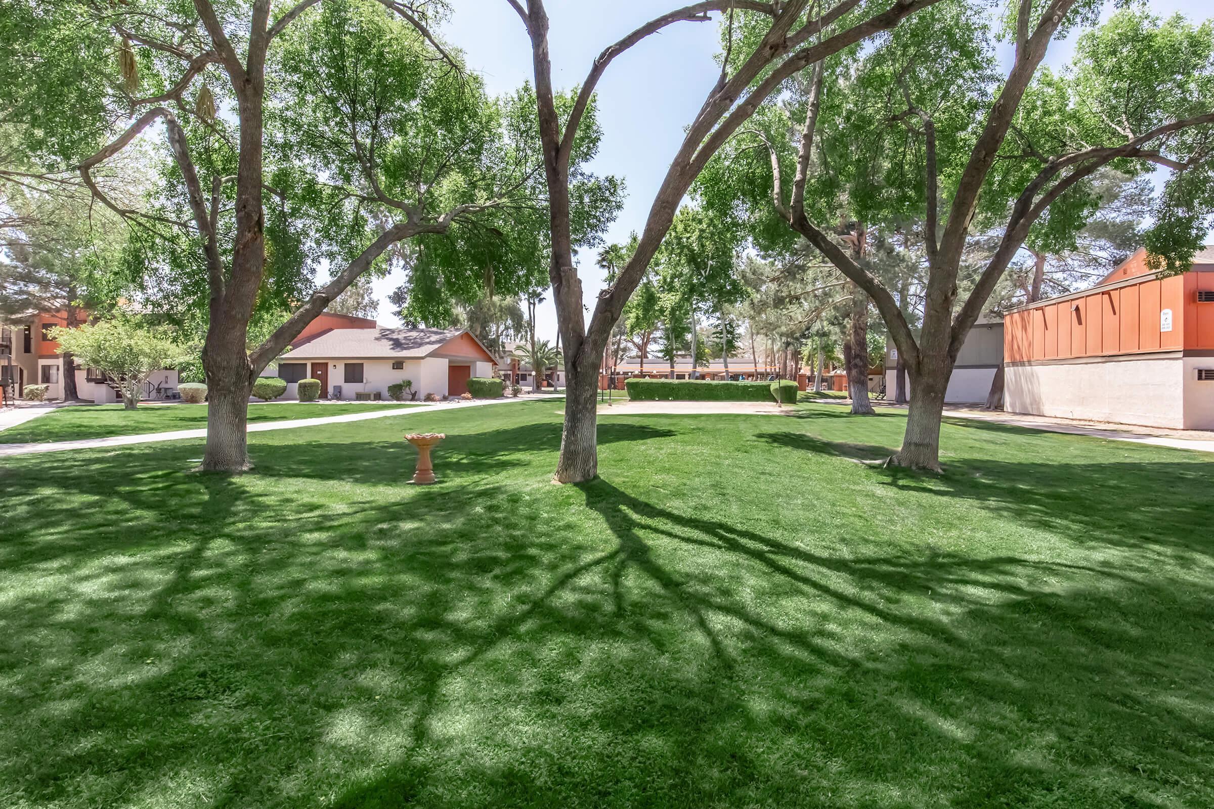 A spacious outdoor area featuring lush green grass and large trees casting shadows on the ground. In the background, there are buildings with red roofs. The setting is bright and sunny, creating a serene and inviting atmosphere.