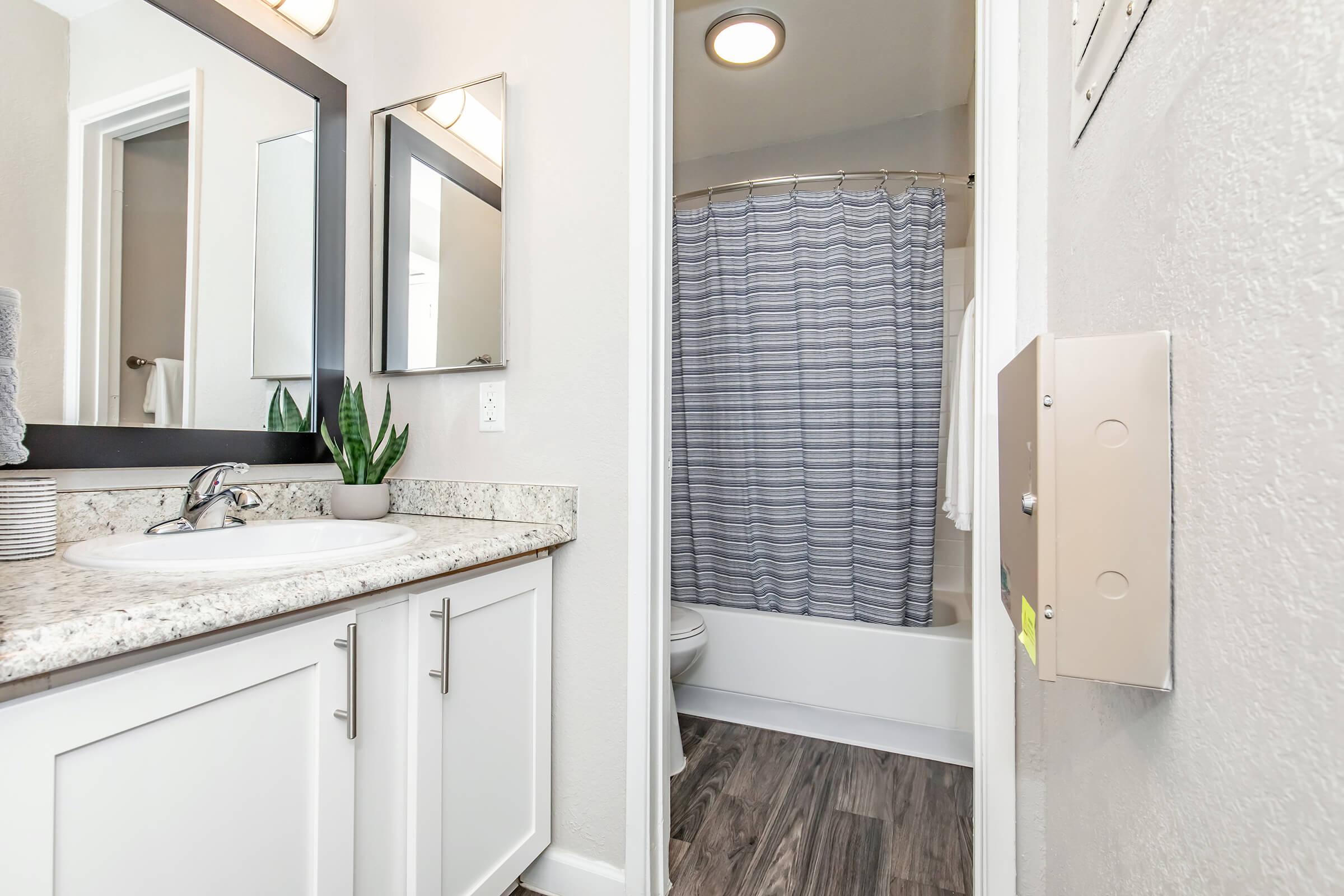 A modern bathroom featuring a granite countertop sink with a mirror, a shower area with a striped curtain, and a toilet. The walls are painted in a light color, and the flooring has a wood-like appearance. A small plant decorates the sink area, adding a touch of greenery.