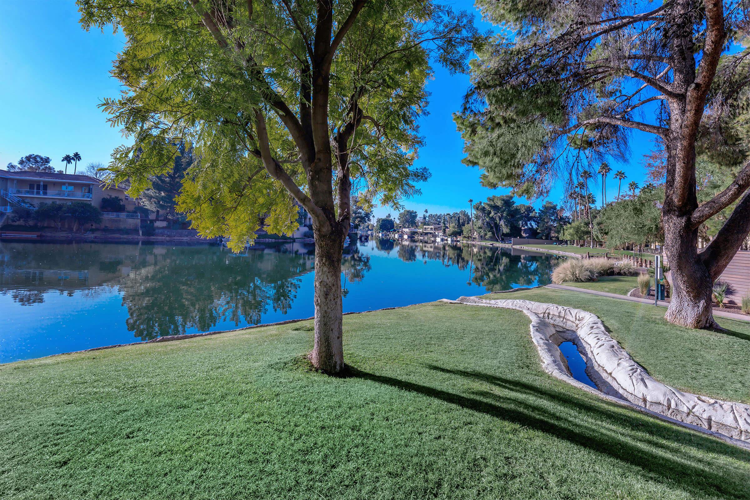 a garden with water in the background